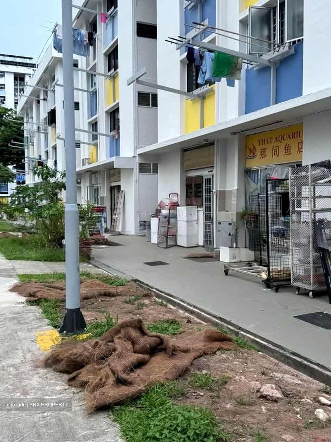 Clementi Avenue 2 (D5), Shop House #572571391